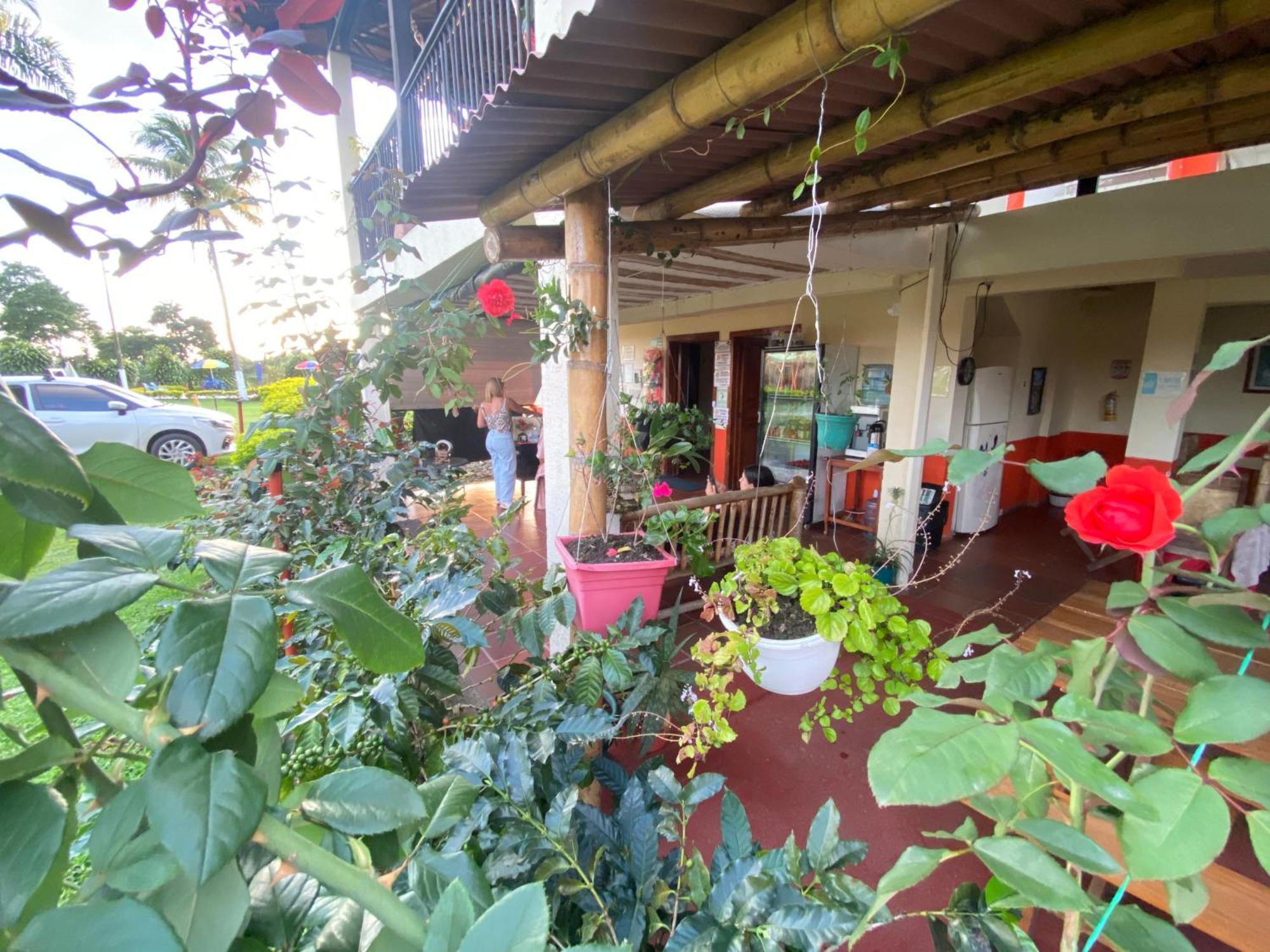 Finca Hotel Los Cocos Montenegro Esterno foto